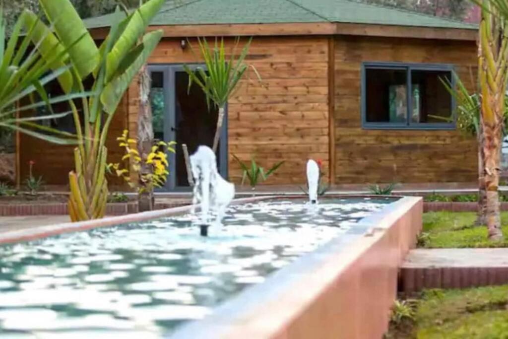 5 Piscines Fitness Apartment *
